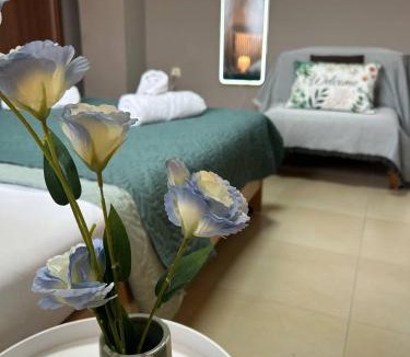Serres Apartment | Alpha Apartment View