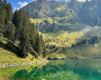 Les Mosses House | Alpine Dream Chalet with Spa close to Lake Geneva