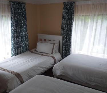 George Hotel | Alpine Inn