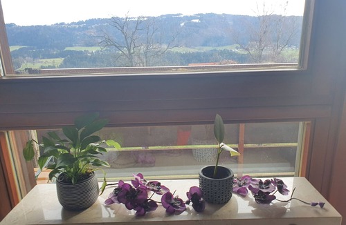 Sigmarszell Apartment | alpine view