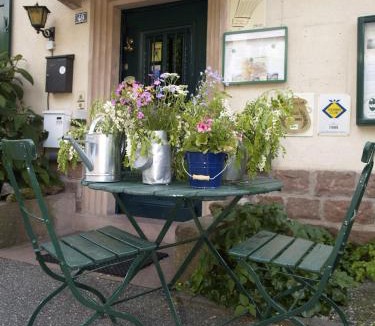 Obersteinbach Hotel | Alsace Village