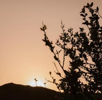 Ras Al Khaimah House | ALSARA HiDEAWAY