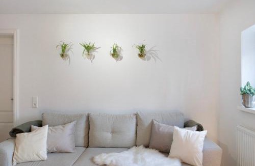 Alsfeld Apartment | Alsfelder Wein-Suite