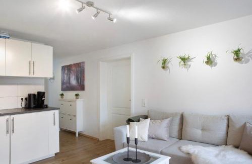 Alsfeld Apartment | Alsfelder Wein-Suite