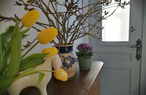Roßdorf Apartment | alte Apotheke
