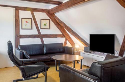Satteldorf Apartment | Alte Schmiede Ellrichshausen 1