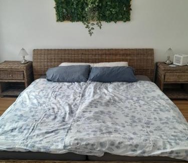 Langenbrucken Apartment | Alte Villa mit Terrasse