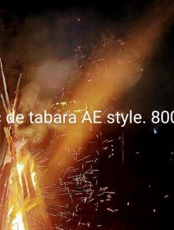 Valea Draganului House | Alter Ego