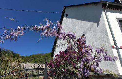 Hatzenport House | Alter Winzerhof