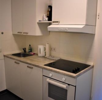 Heidelberg City Centre Apartment | Altstadtblick