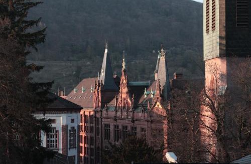 Heidelberg City Centre Apartment | Altstadtblick