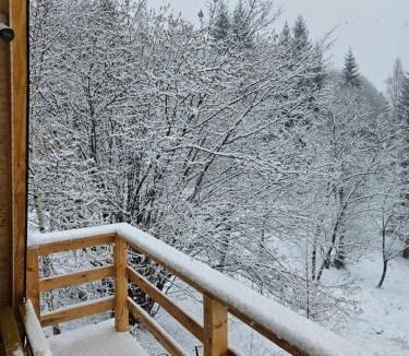 Dambovicioara Ski Chalet | Altundeva la munte