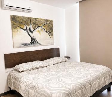 Monterrey Centro Apartment | Aluna Executive Apartment