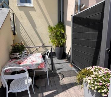 Mainz-Bingen Apartment | Am Dollespark