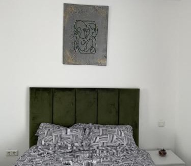 Stefanestii de Jos Apartment | Ama Studio Cosmopolis