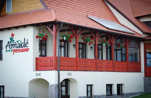 Siculeni House | Amadé Pension