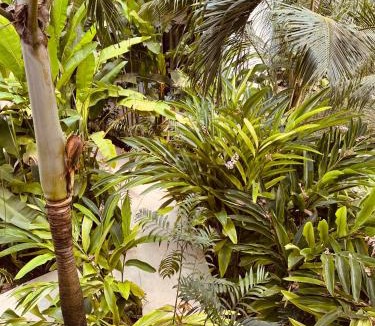 Bacalar Hotel | Amarbacalar
