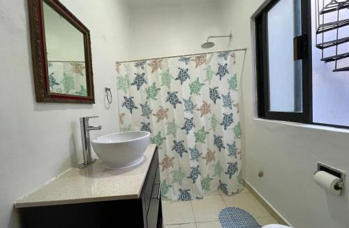 La Condesa Apartment | Amatlan