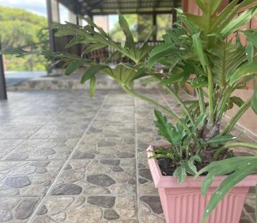 Chilamate Apartment | Amazilia