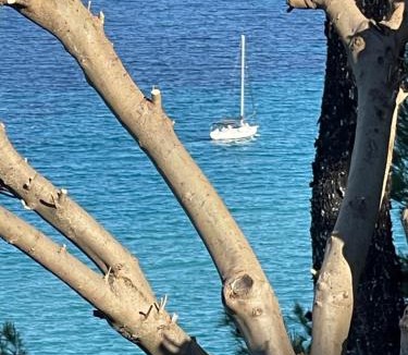 Afytos Villa | Amazing Place