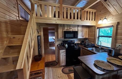 Old Fields Cabin | Amazing Star gazing Mountain View 2-bedroom cabin with AC, WiFi at Old Fields WV