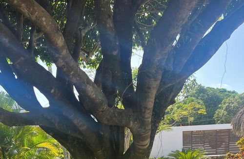 Cabrera Villa | Amazing Villa, Nice Forest/Ocean Views. 5 Bedroom