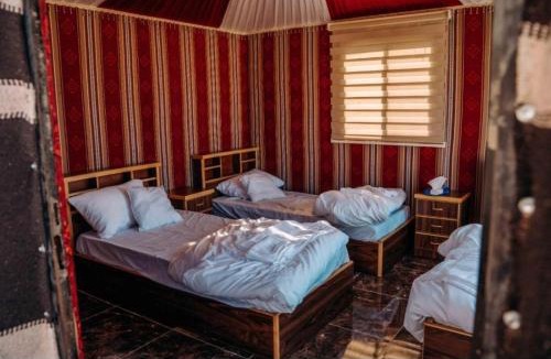 Wadi Rum Apartment | Amazing Wadi Rum Camp