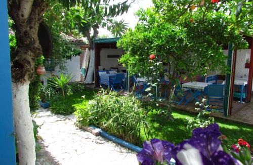 Selcuk House | Amazon Antique