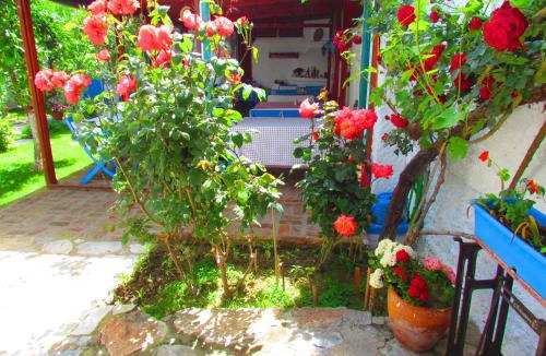 Selcuk House | Amazon Antique