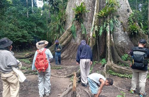 Iquitos Cabin | Amazon Macambo Lodge
