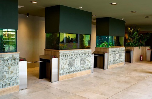 Calea Sever Bocu Hotel | Amazonia Hotel