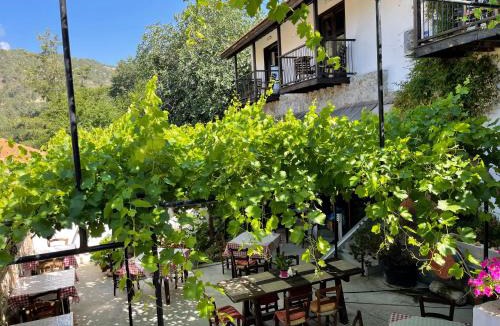 Potamitissa Hotel | Ambelikos Traditional Agrohotel