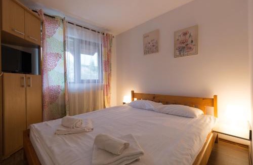 Busteni Villa | Amber`s Vila