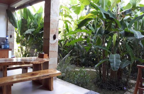 Amed Cabin | Amed Sudi House
