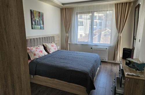 Dobrich Apartment | AMORA Apartment