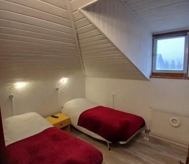 Monclassico Apartment | Ampia Mansarda a Dimaro in Val di Sole