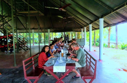 Thattekkad RV Rental | Amritara Riverside Camp, Thattekad