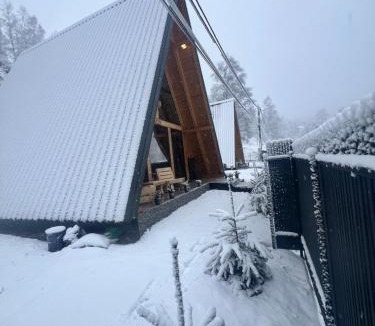 Lupeni House | Amurg