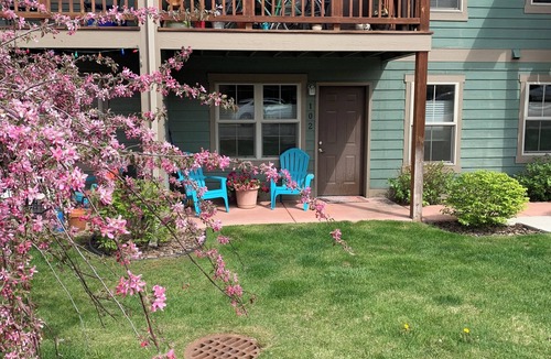 Franklin to the Fort Apartment | An Apartment Gem Located In The Heart Of Missoula
