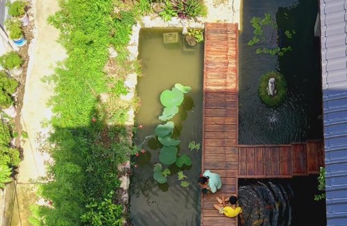 Cat Ba House | An homestay - stay with local family