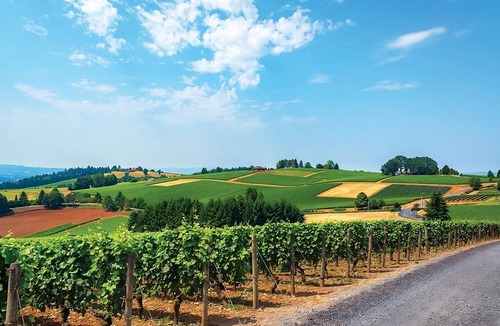 McMinnville Hotel | An Oenophile’s Delight in Red Lion McMinnville! FREE Parking and Pets Allowed!