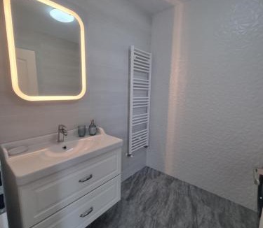 Baia Mare Villa | Anca House