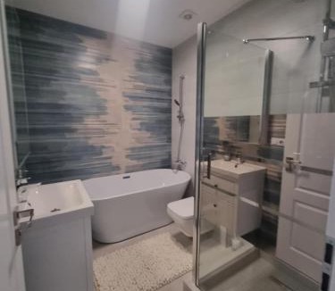 Baia Mare Villa | Anca House