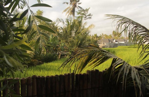 Kelusa Bed & Breakfast | Ancut Sari villa