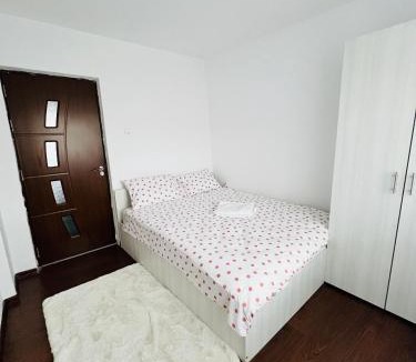 Ramnicu Valcea Apartment | Andreea apartament
