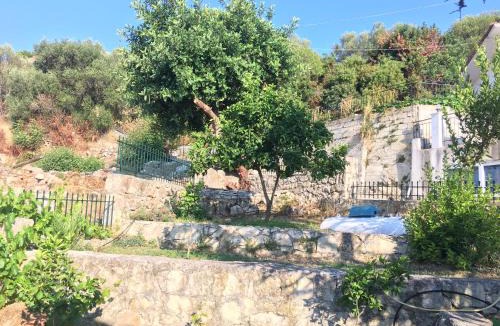 Paliki Villa | Anelina Villa
