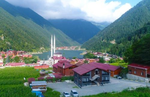 Uzungol Hotel | Anemo Suite