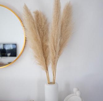 Ammoudia Apartment | Anemoessa
