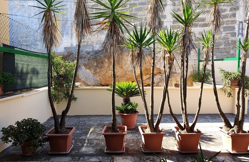 Oria Historic Centre House | Angelo's house with terrace