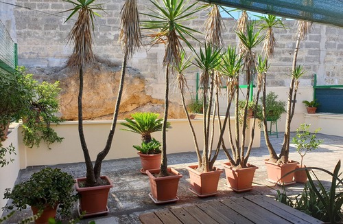 Oria Historic Centre House | Angelo's house with terrace